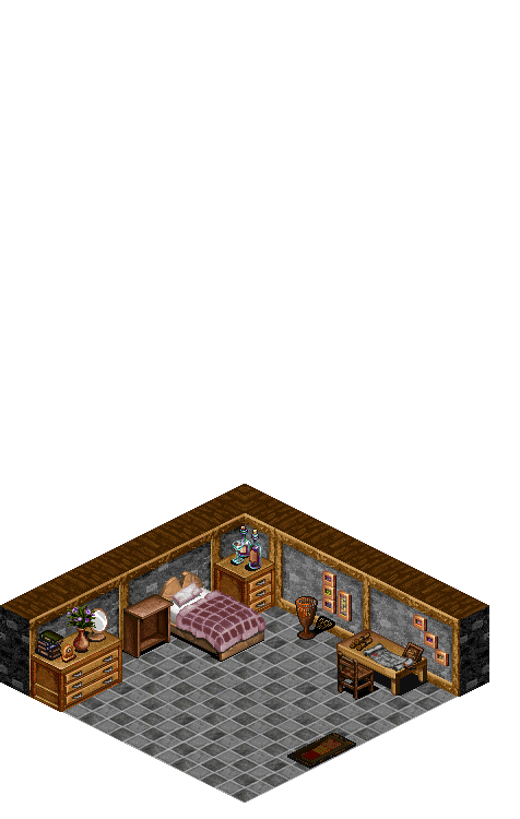 Rucesion Inn Room 1 rendered terrain map
