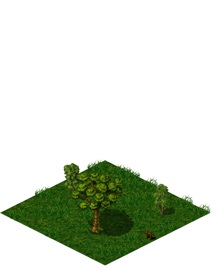 Undine Field Entrance rendered terrain map