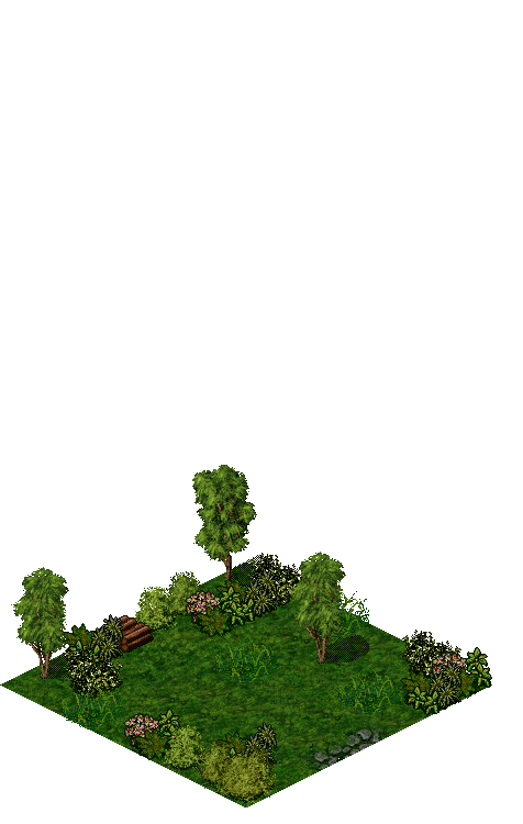 Map 5212 rendered terrain map