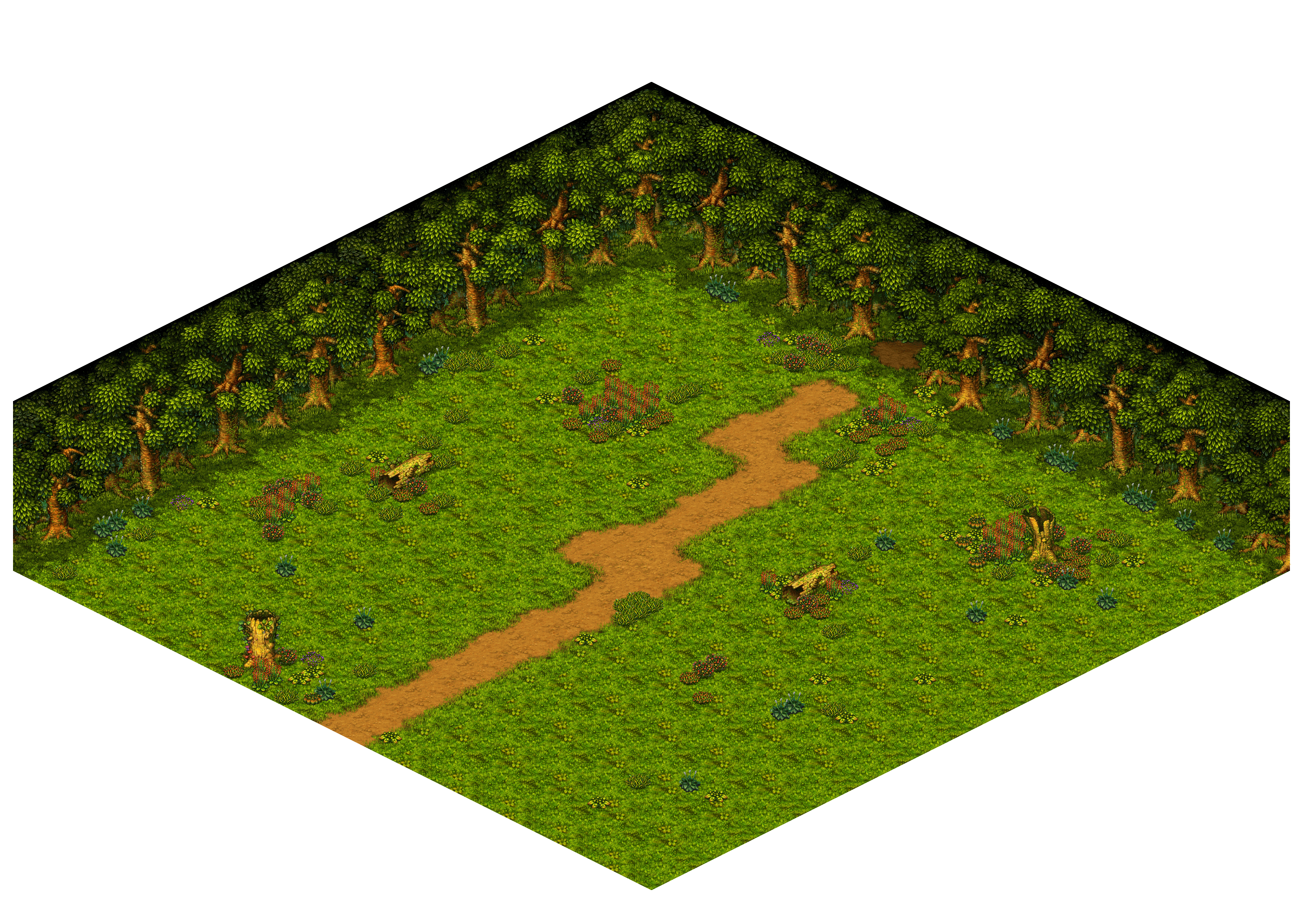 Shinewood Forest 16 rendered terrain map