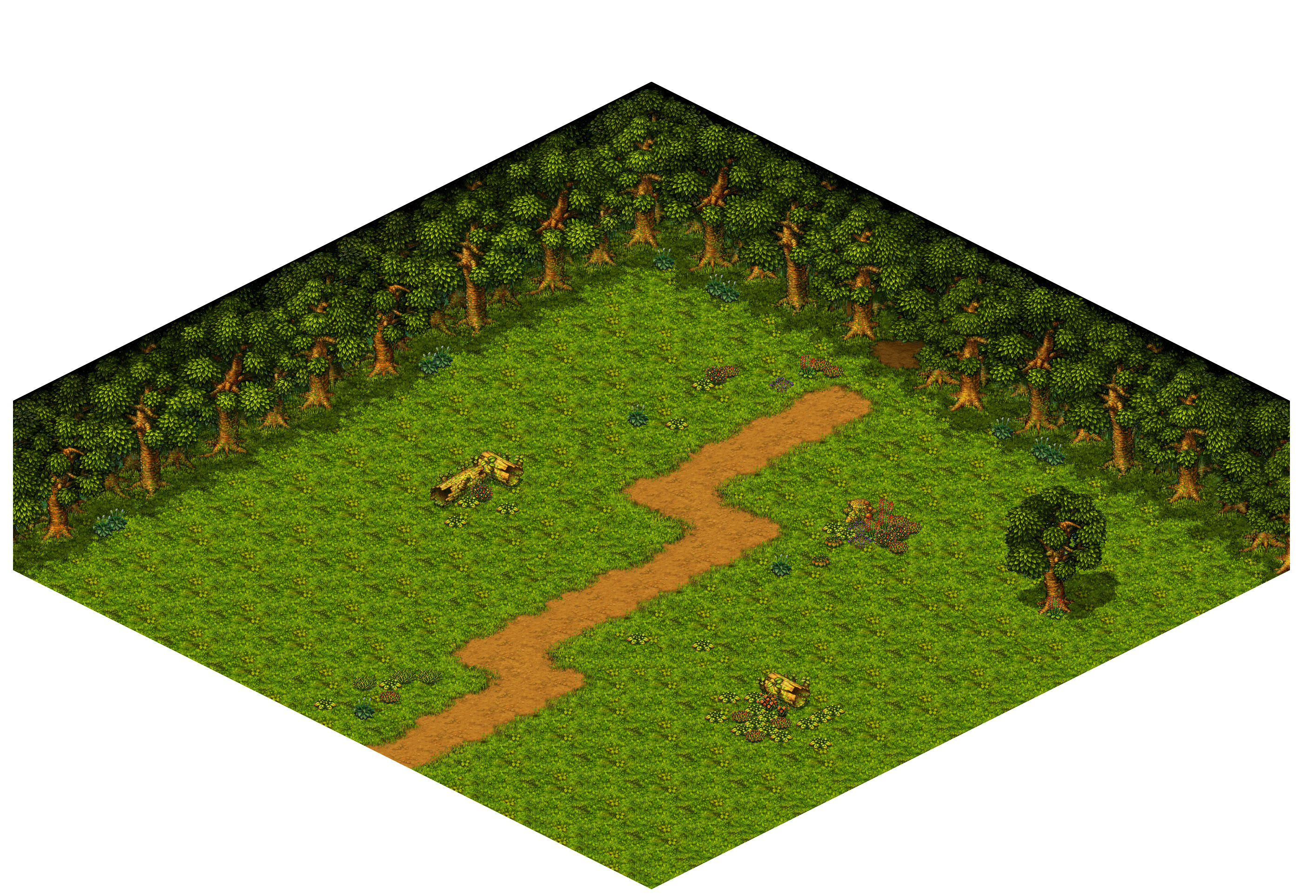 Shinewood Forest 14 rendered terrain map