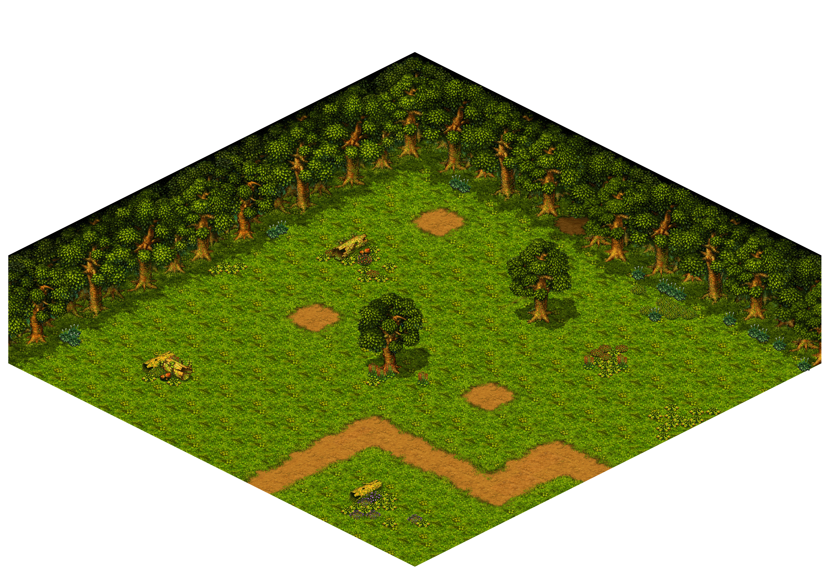 Shinewood Forest 19 rendered terrain map