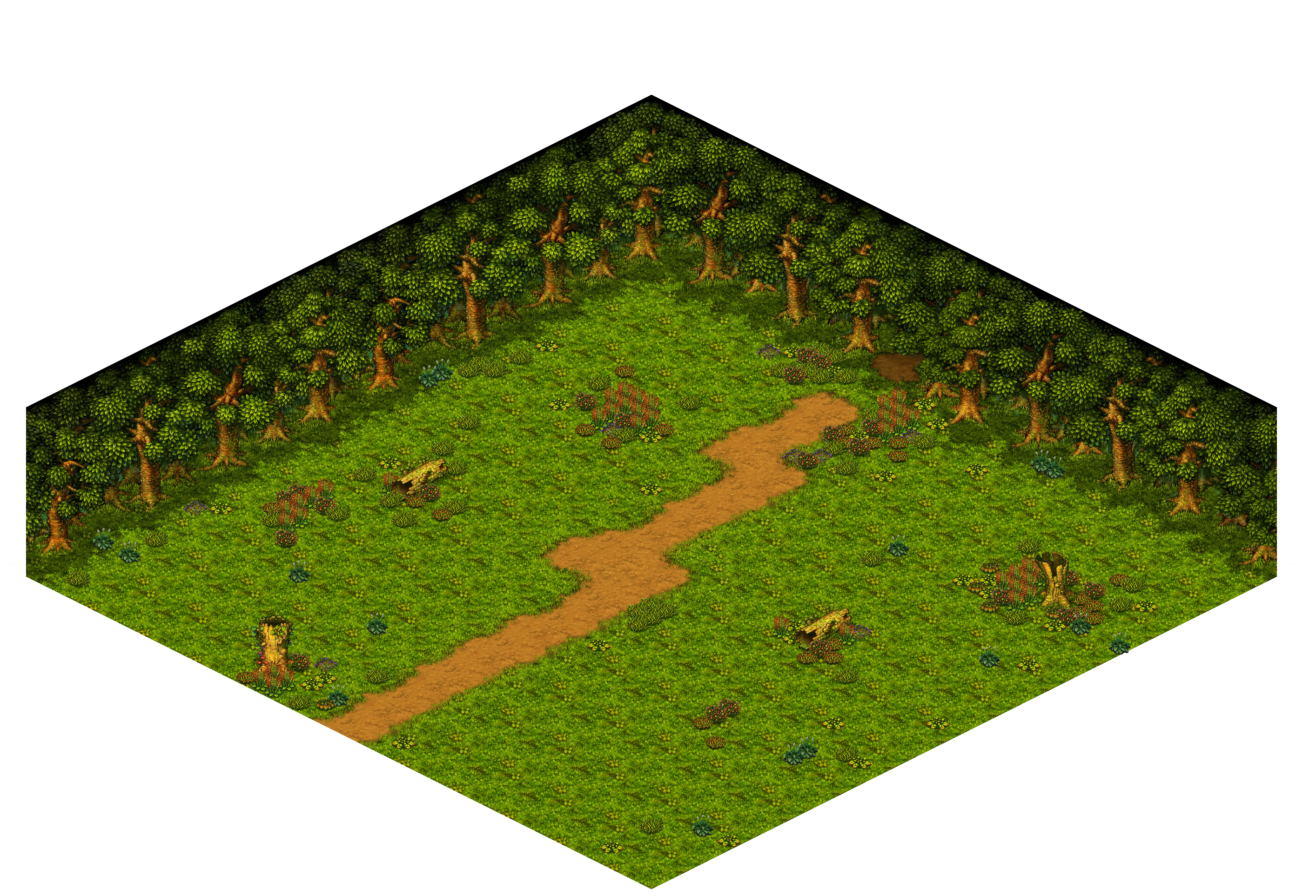 Shinewood Forest 28 rendered terrain map