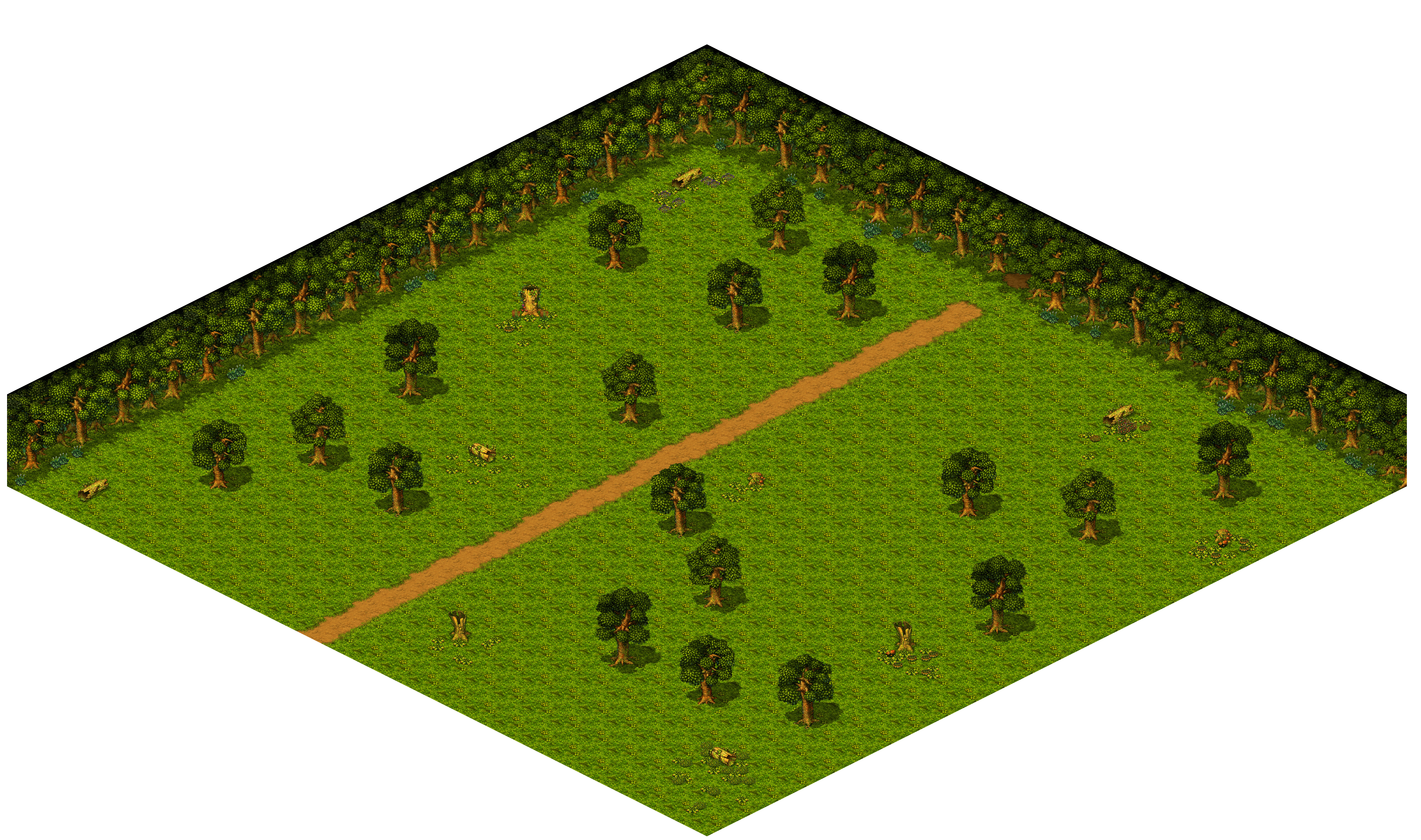 Shinewood Forest 37 rendered terrain map
