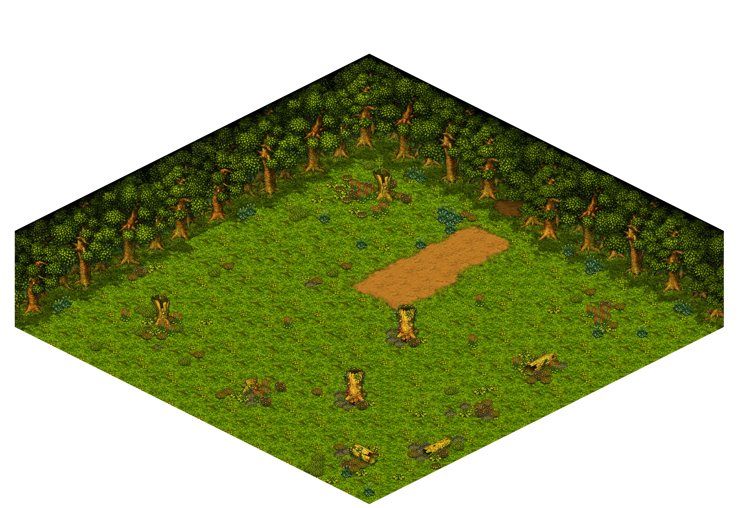 Map 573 rendered terrain map