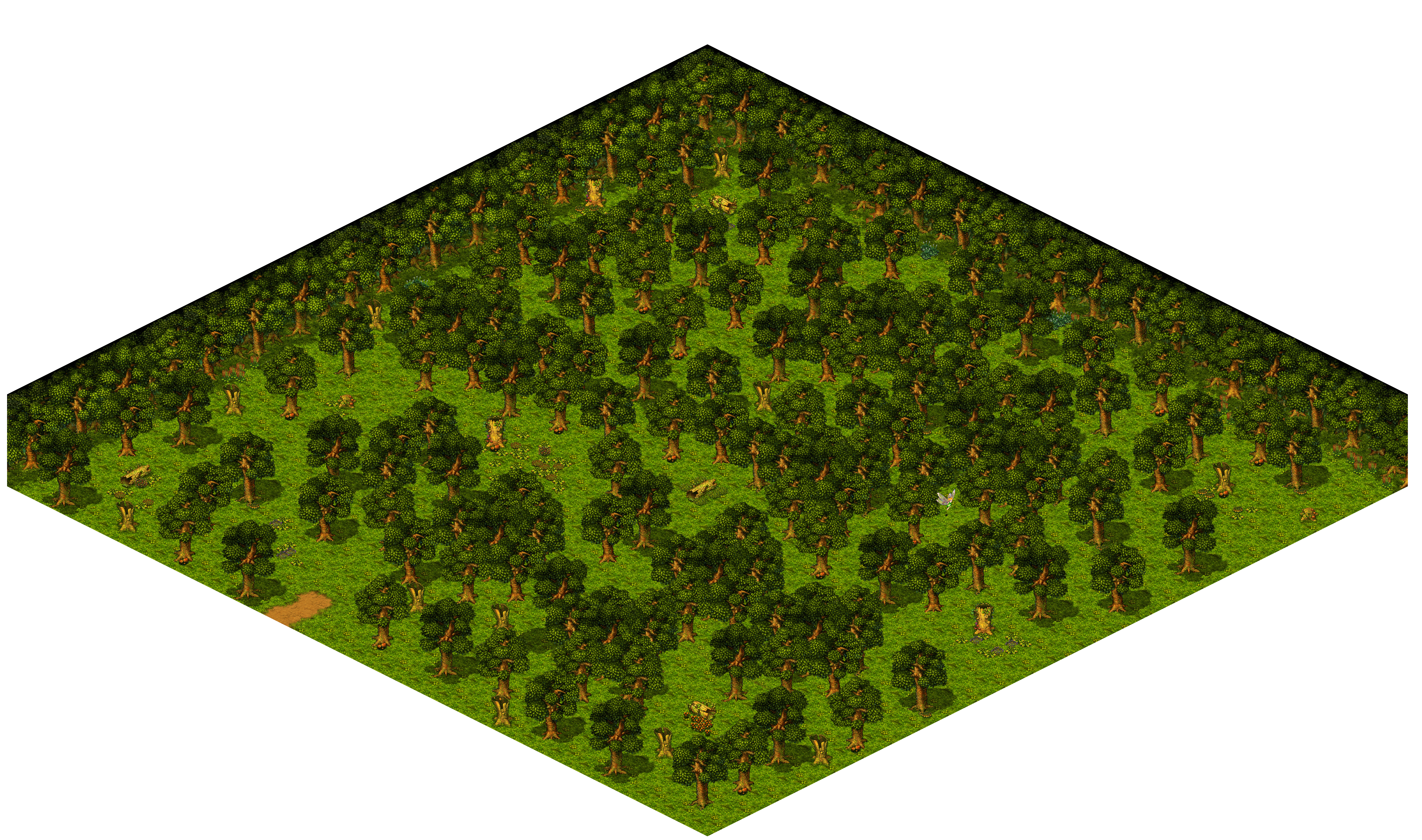 Shinewood Forest 11 rendered terrain map