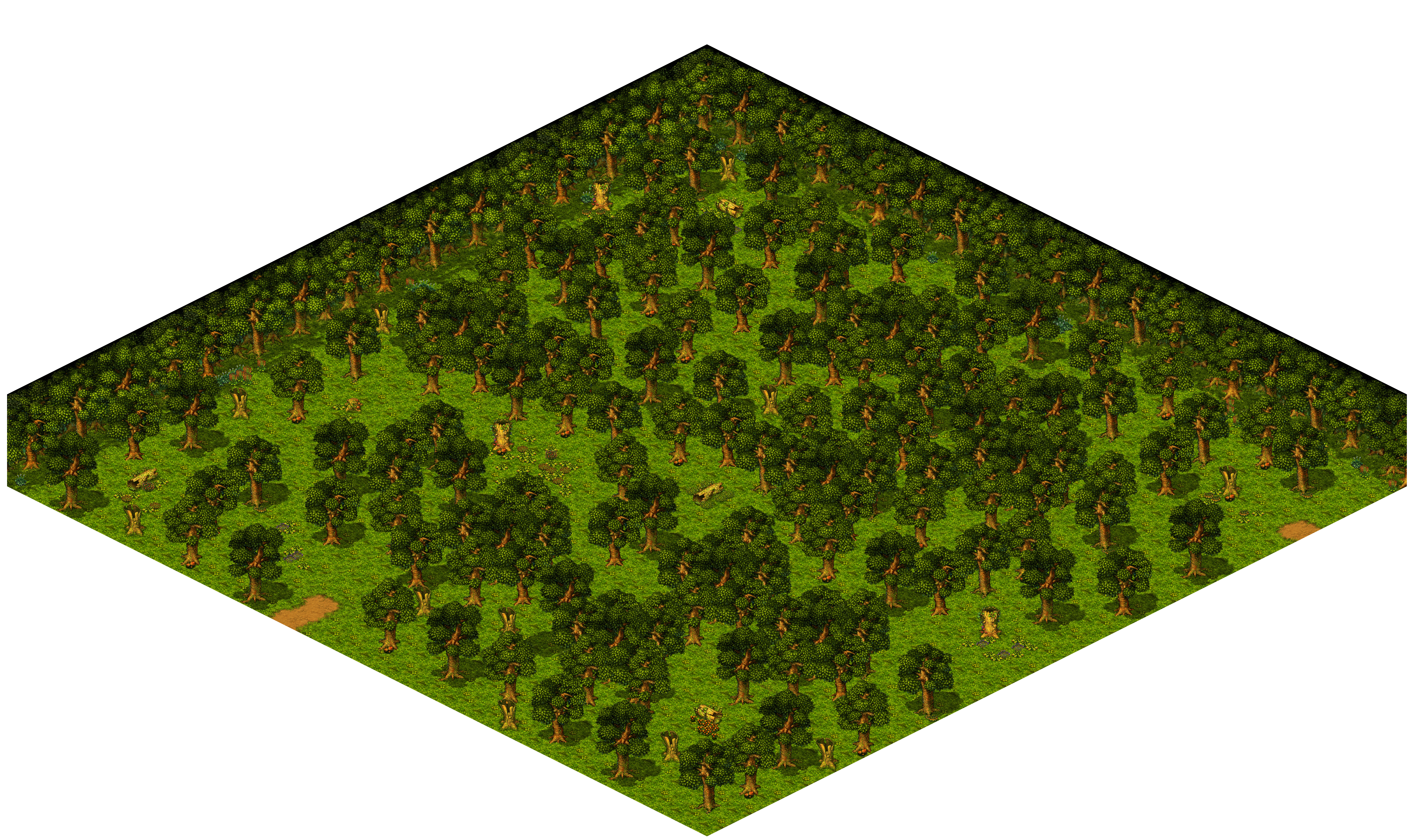 Shinewood Forest 26 rendered terrain map
