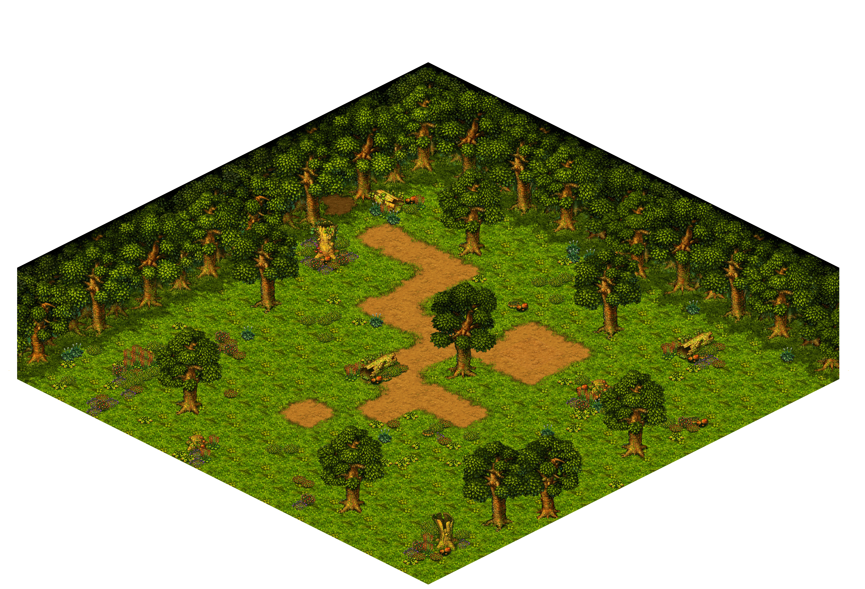 Shinewood Forest 27 rendered terrain map