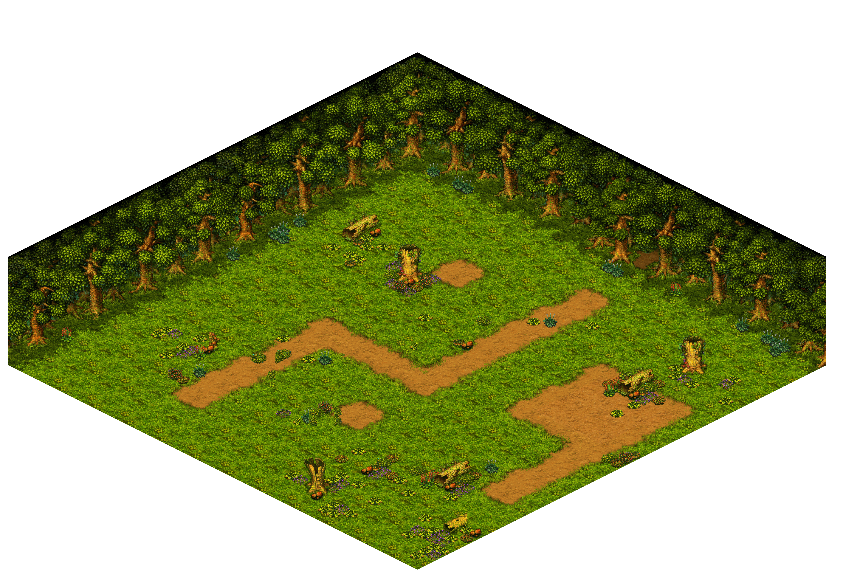 Shinewood Forest 34 rendered terrain map
